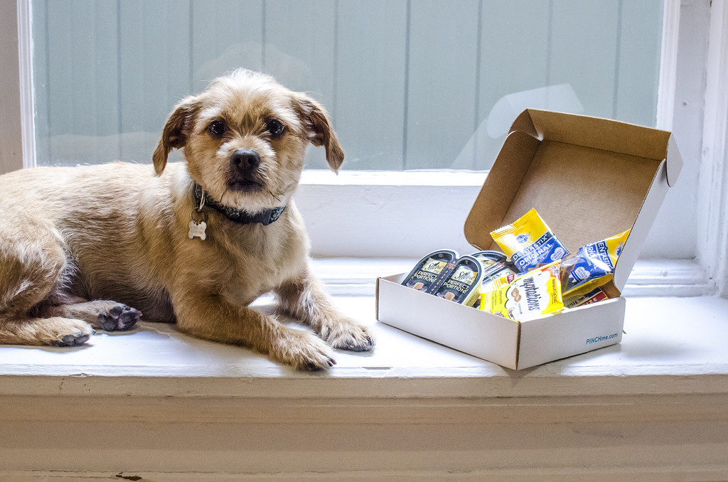 You Can Now Try Out The Latest Dog Products For Free! No, Seriously, For  Free!