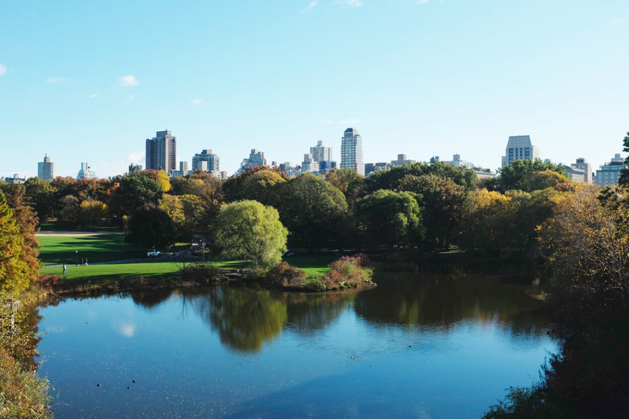 Arlo Hotel NYC’s Guide to Spending the Day in Central Park